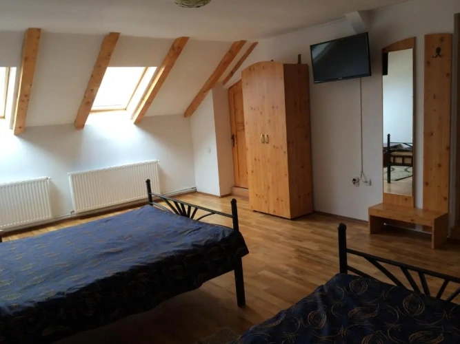 Standard Double room with balcony and with view