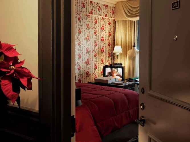 1 Bedroom Standard Double room