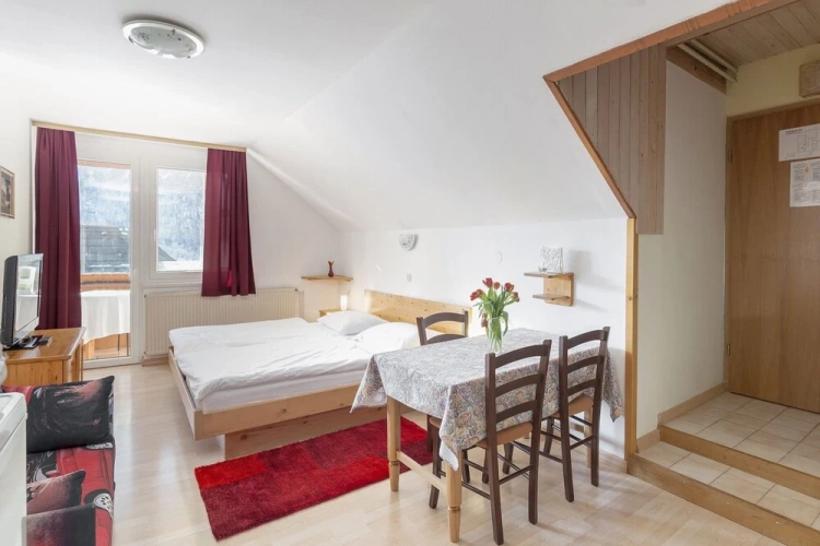 Classic Double Studio with mountain view