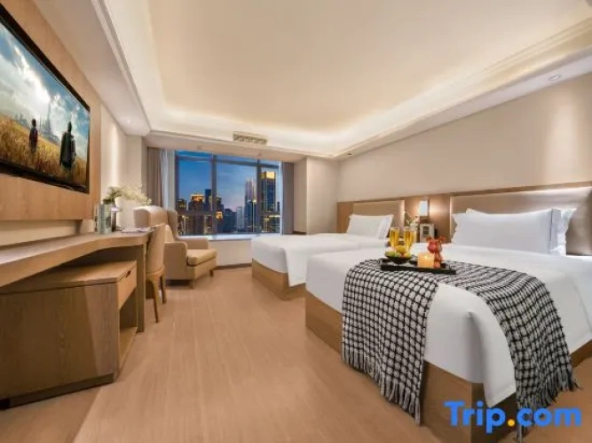 Standard Twin room with city view