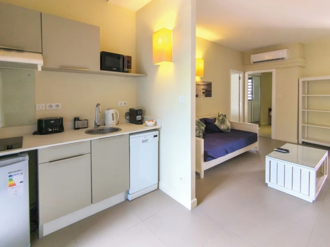 1 Bedroom Classic Apartment
