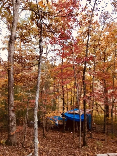 1 Bedroom Cottage with lake view