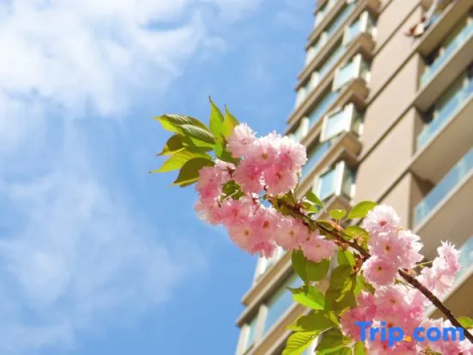 Shanghai Tyms Serviced Apartment
