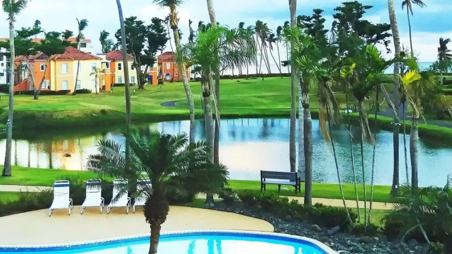 Palm View