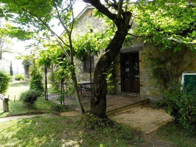 3 Bedrooms Apartment