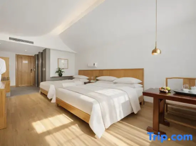 Standard Twin Family room