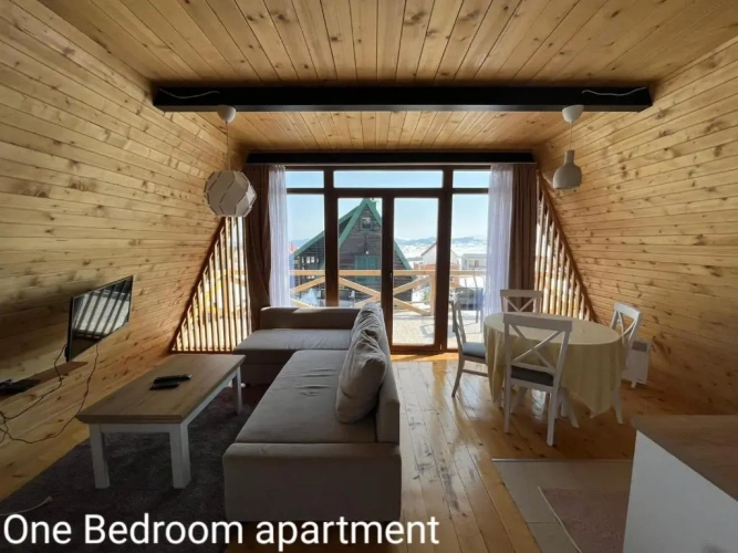 1 Bedroom Apartment