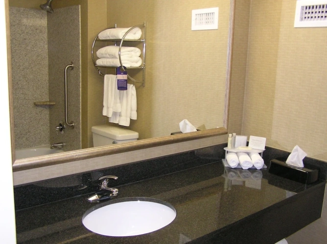 1 Bedroom Suite