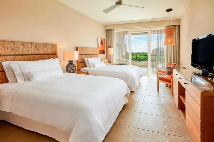 Deluxe Twin room with balcony and with garden view