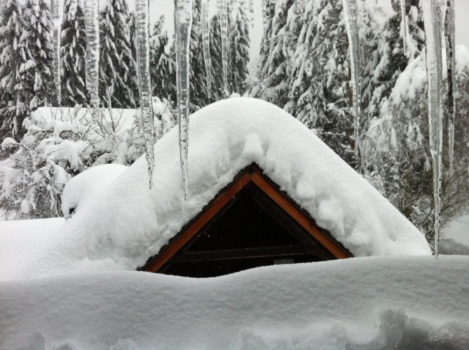 1 Bedroom Cottage