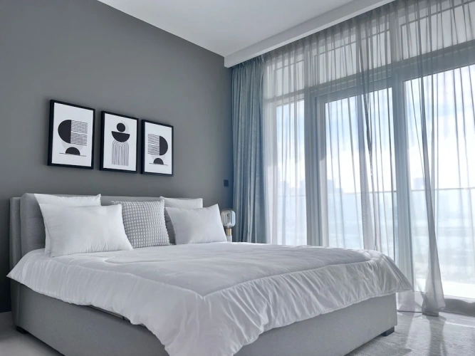 Luxury Apartment