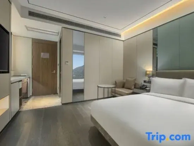 1 Bedroom Standard Double room with city view