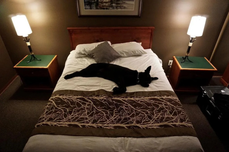 The Bamfield Motel