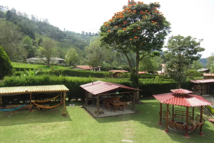 Hotel Momotus Cocora