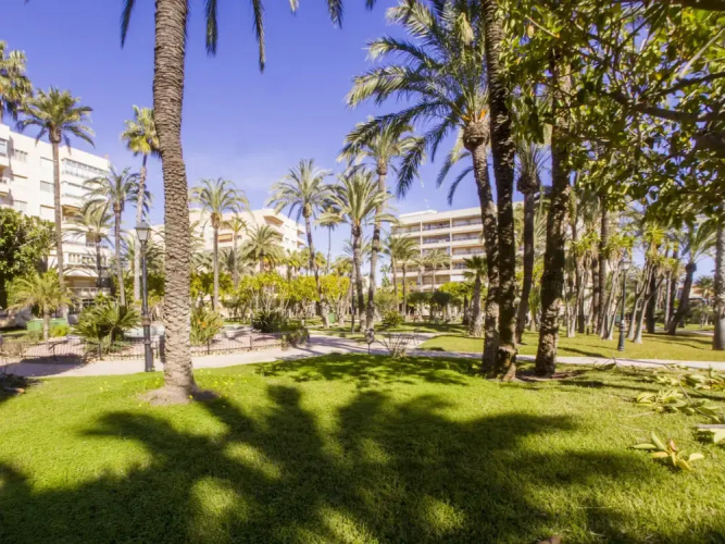 Torrevieja Experience El Palmeral