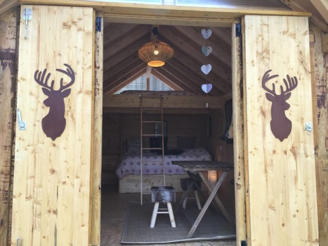 Comfort room