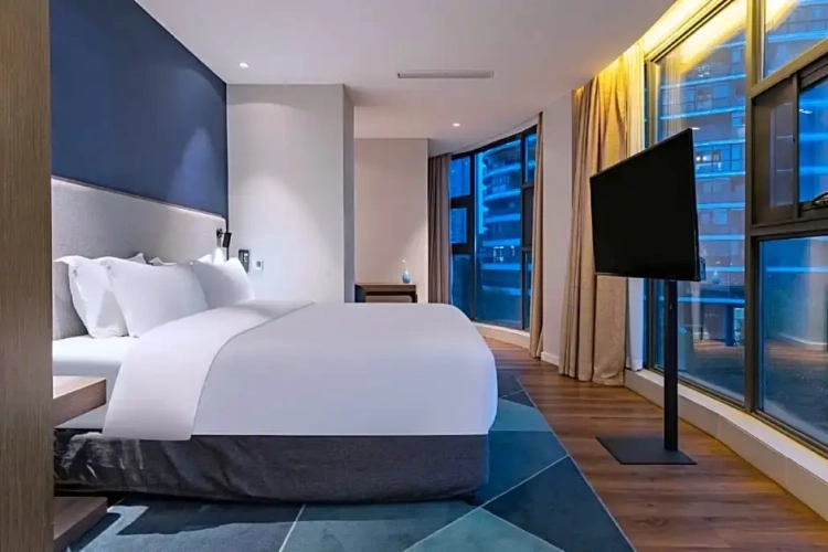 1 Bedroom Suite