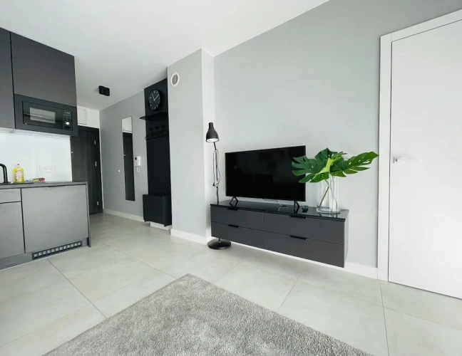 Economy Suite
