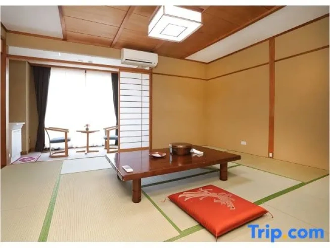Standard room with river view