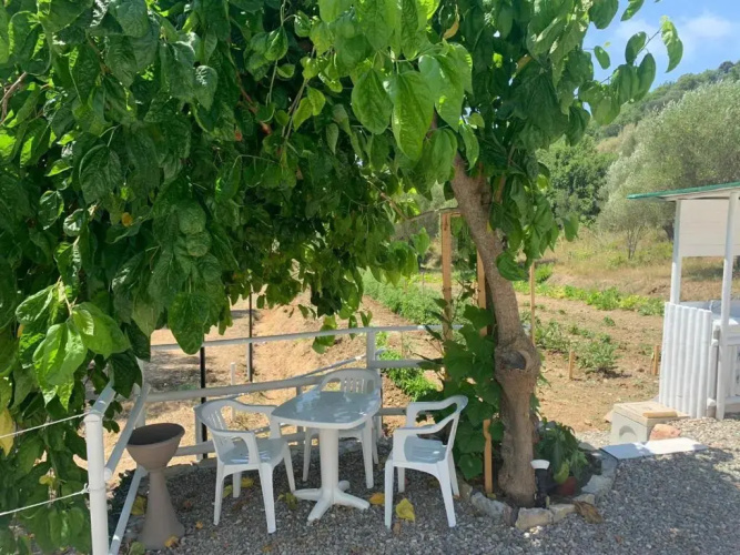 Palinuro Casa Vacanza Melita