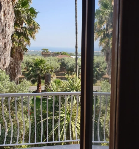 Standard Double room with balcony and with sea view