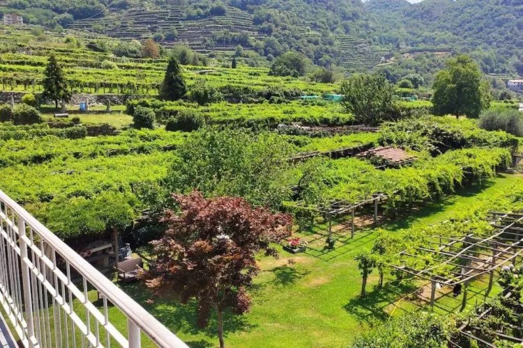 La Casa Dei Nonni 3,0