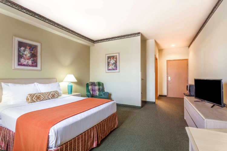 Standard Double room