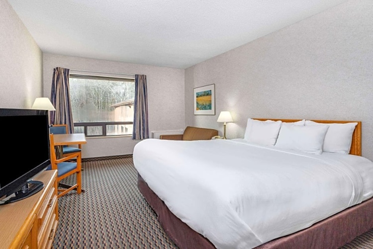 1 Bedroom Standard Double room