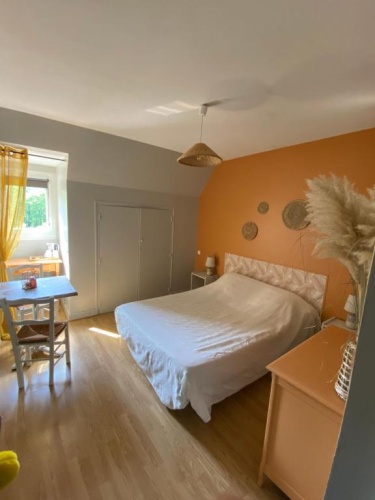 Standard Double room with mountain view