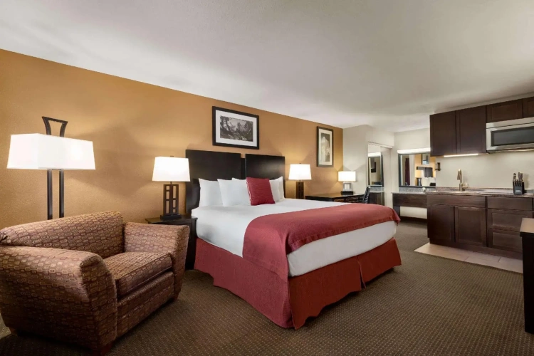 Standard Double room