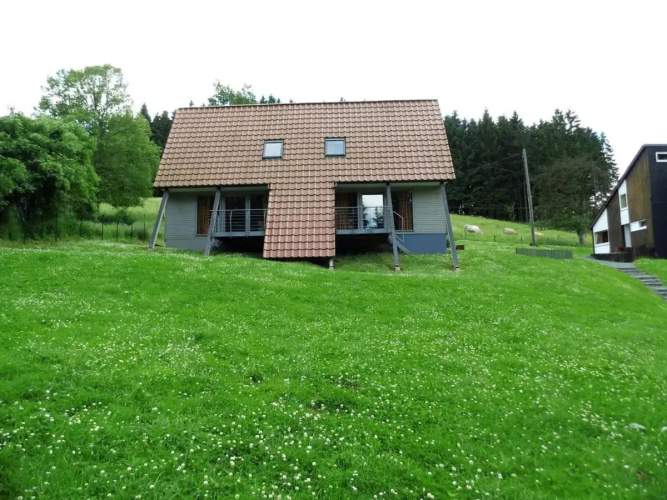 Typ Dachsbau