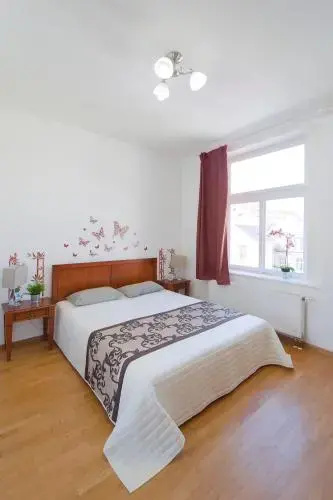 Modern Apartment Zborovská