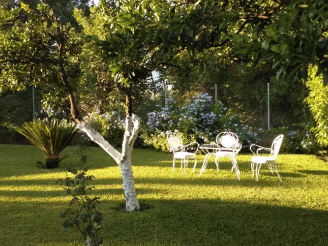 Casa MaLu Boutique Apartments - No 2