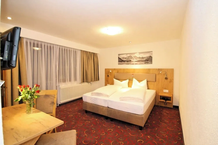 Standard Double room with mountain view