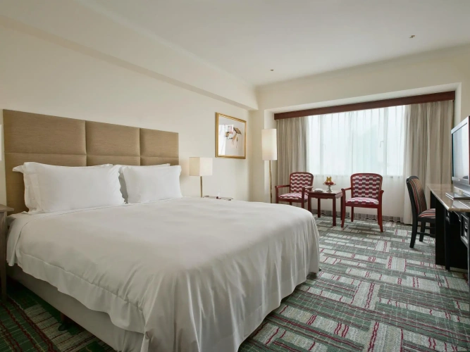 Deluxe Single room