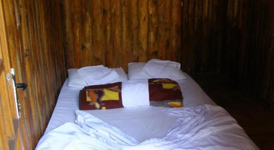 Jungle Bells Hostel
