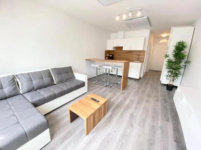 Apartment 3 Sovice