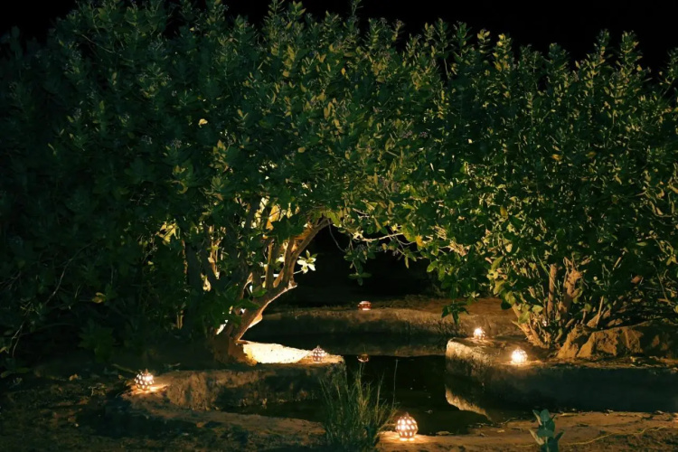 Sangram Desert Camp