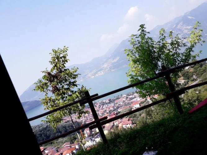 Standard Double room with lake view