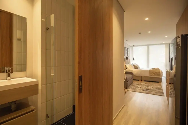 Deluxe Apartment