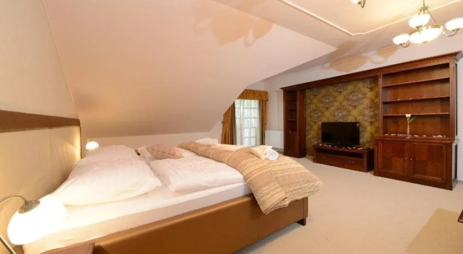 Hotel Gold Chotoviny