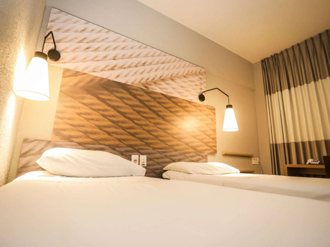 Ibis Teresina