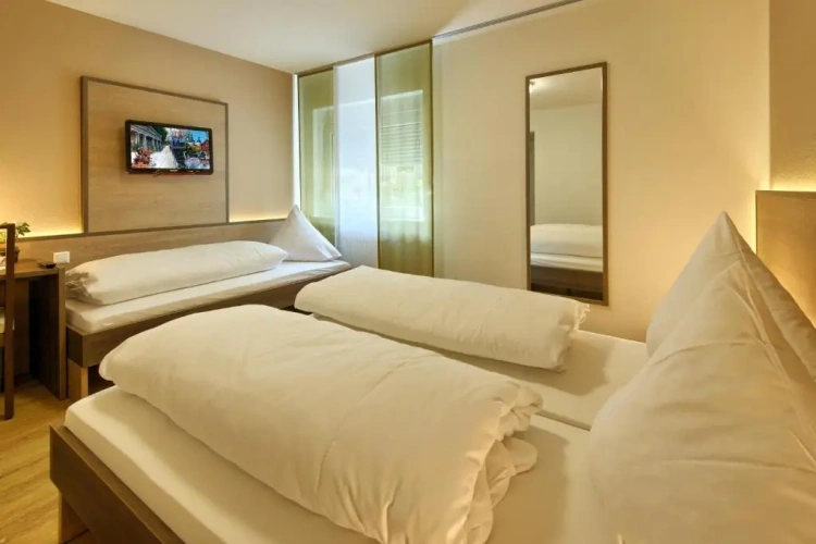 Standard Triple Basement room