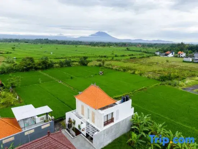 Mountain Sunshine Private Villa