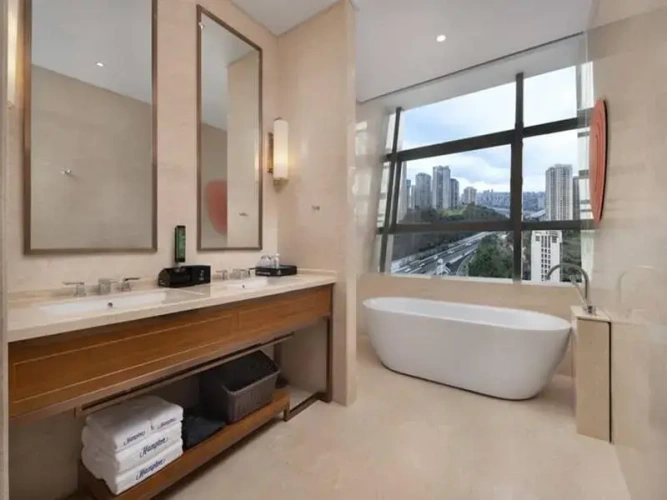 Business Double Suite