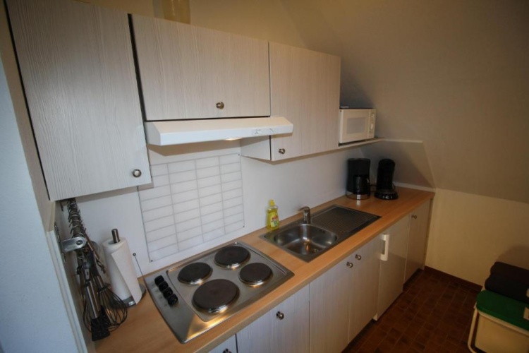 Apartment with garden view