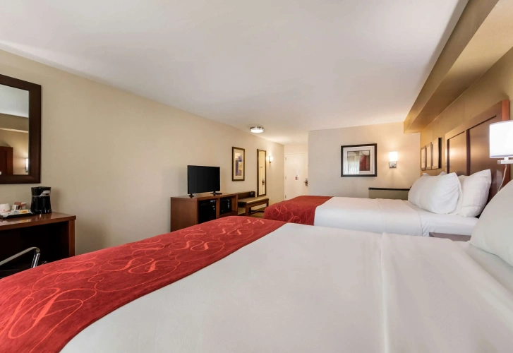 Standard Quadruple room