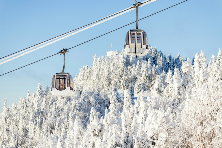 Homewood Suites by Hilton Mont-Tremblant Resort photo 22