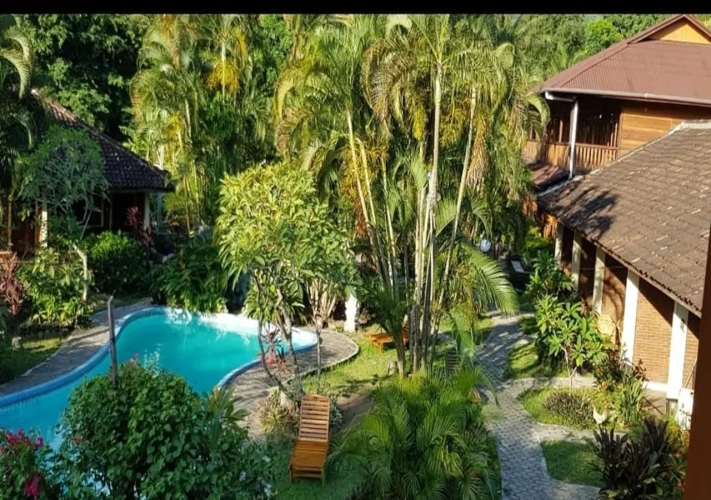 Deluxe Twin room with pool view