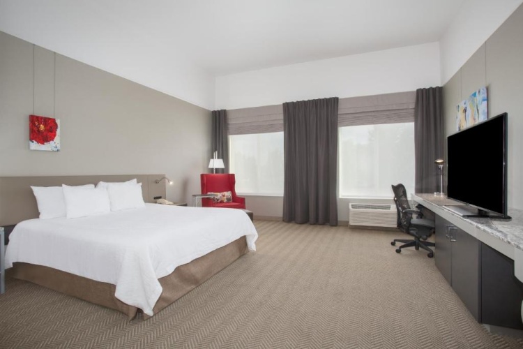 1 Bedroom Suite